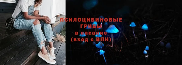 метадон Новозыбков