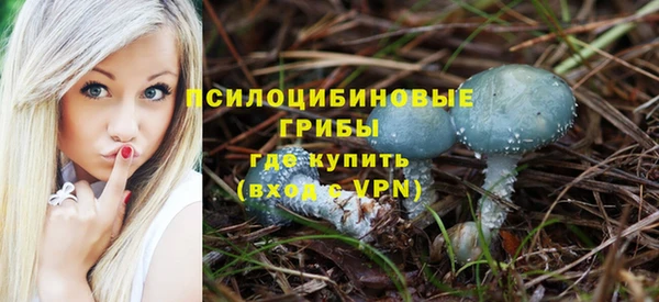 метадон Новозыбков