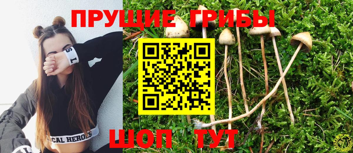 Галлюциногенные грибы Cubensis  Галлюциногенные грибы Psilocybine cubensis  Вход с VPN  Новосибирск 